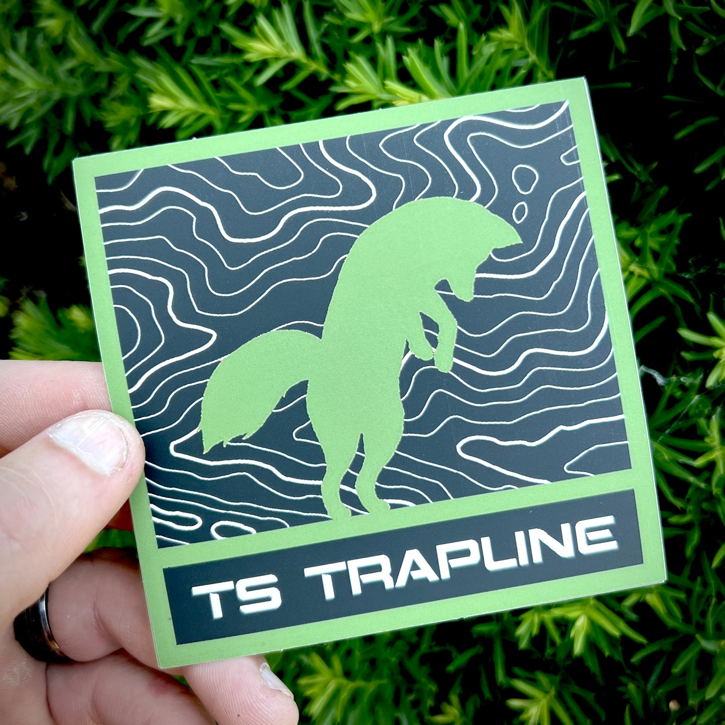 4” Matte Topo Lines Fox Decal