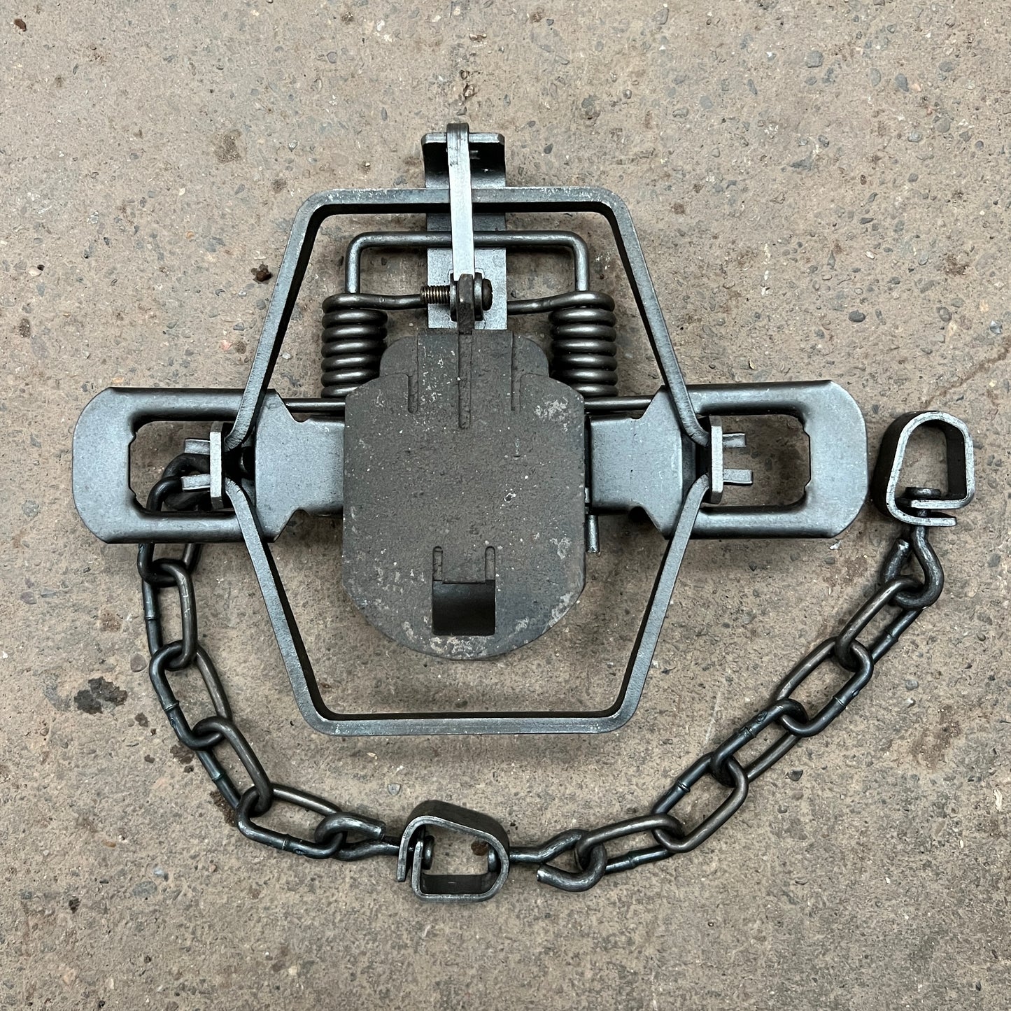 Barker’s Mink Pan I