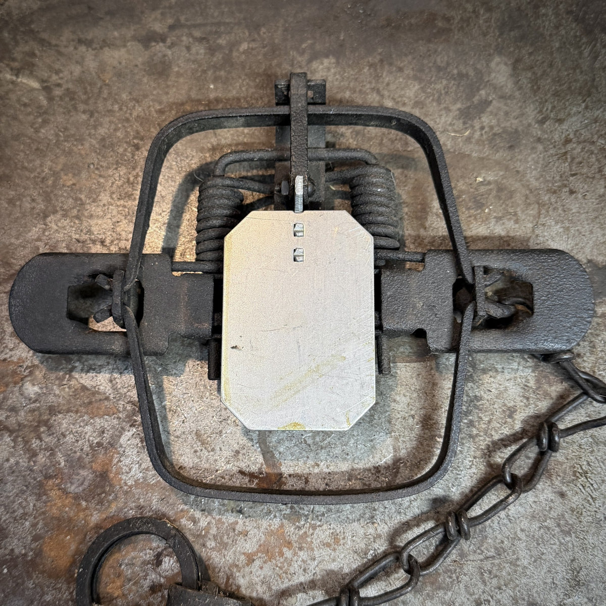 Shank-style Rectangular Mink Pans