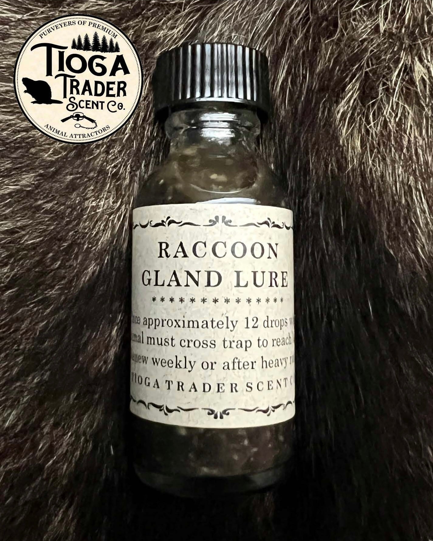 Raccoon Gland Lure