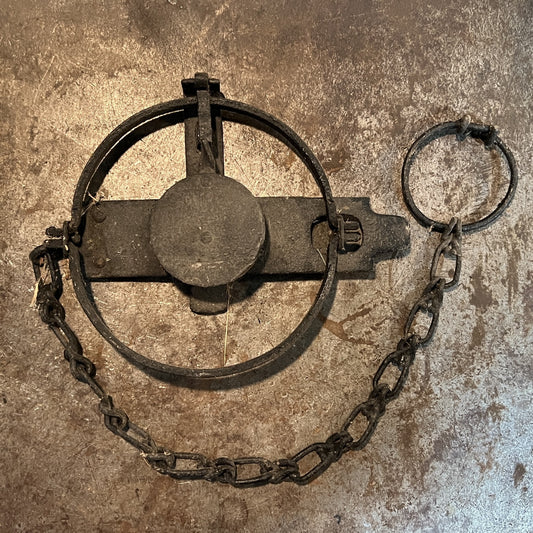 Blake & Lamb #21 Jump - EACH