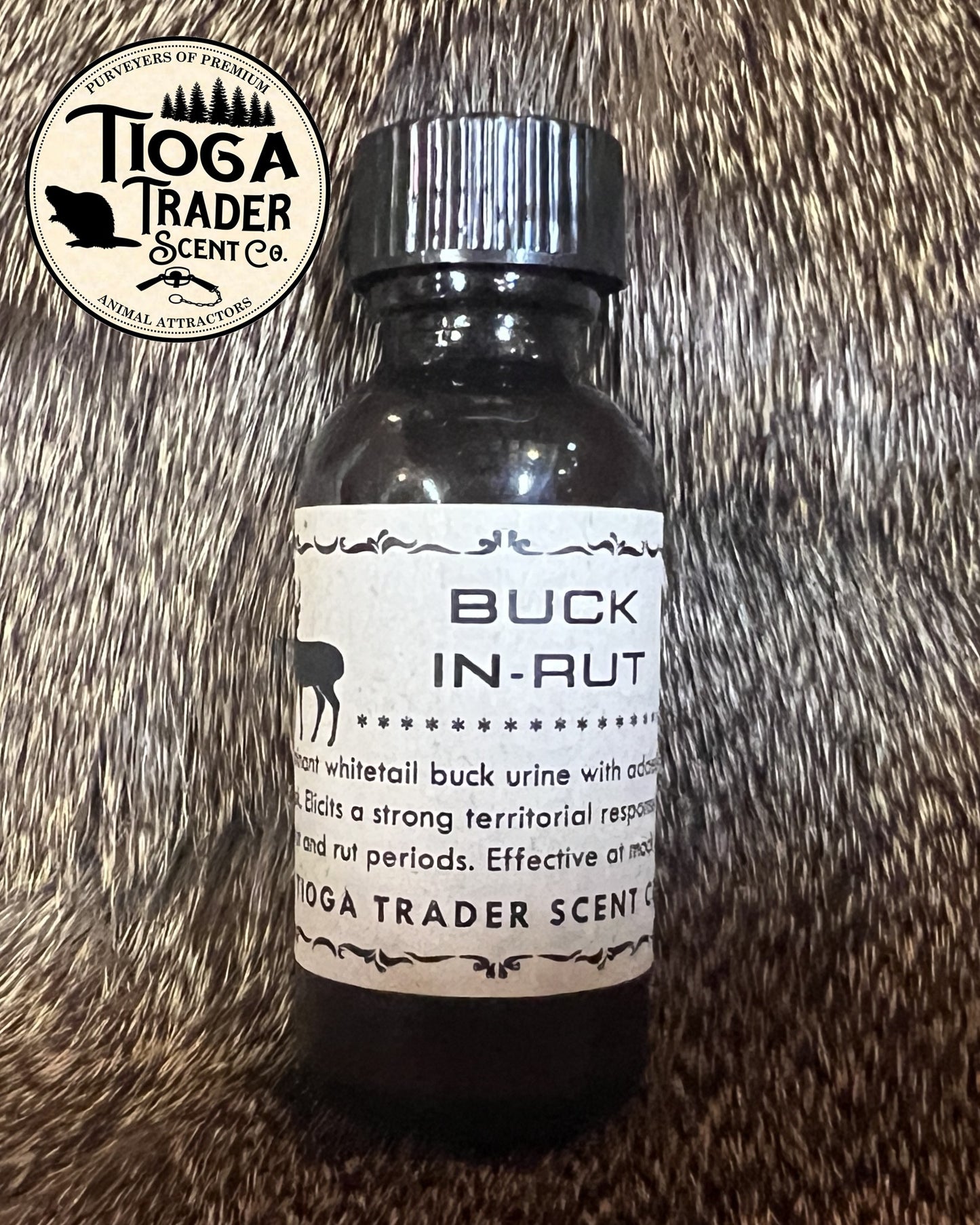 Buck In-Rut