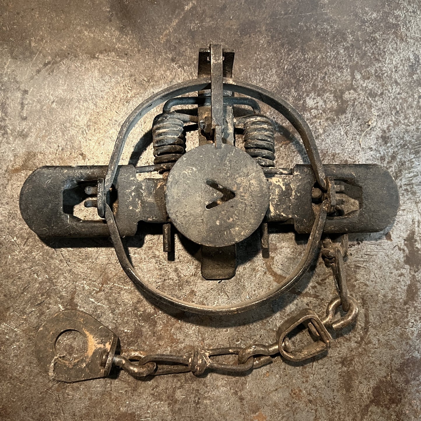 Victor #1 1/2 Coilspring - EACH