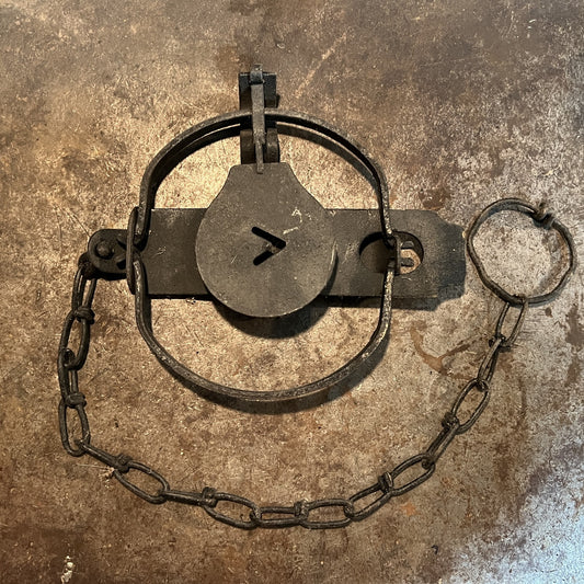 Victor #2 Jump - EACH