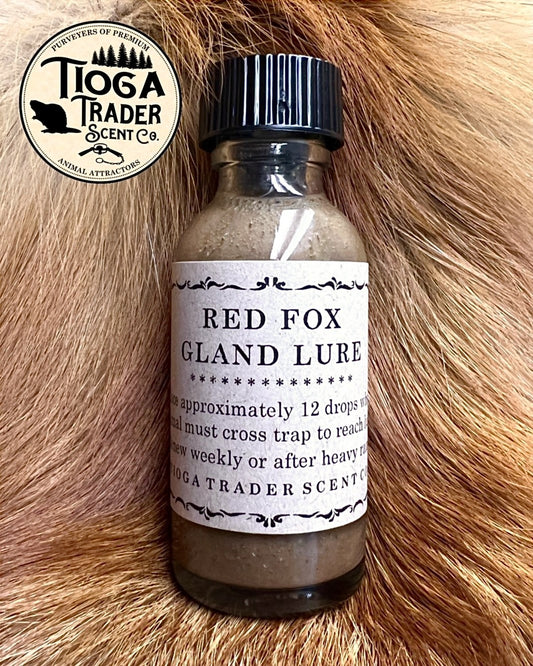 Red Fox Gland Lure