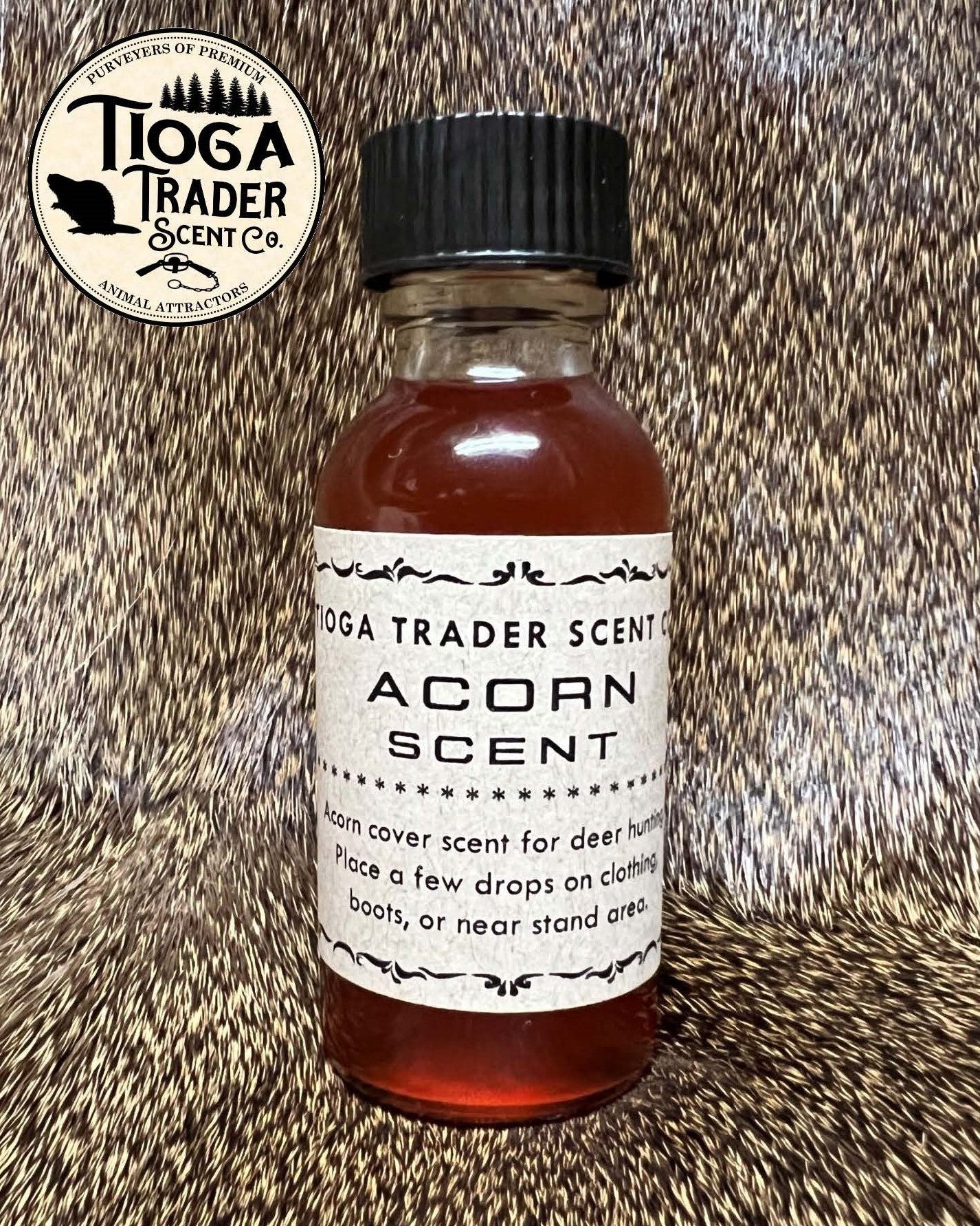 Acorn Scent