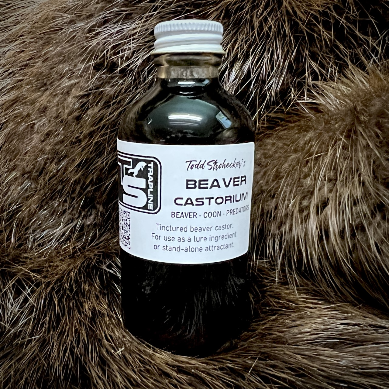 Beaver Castorium
