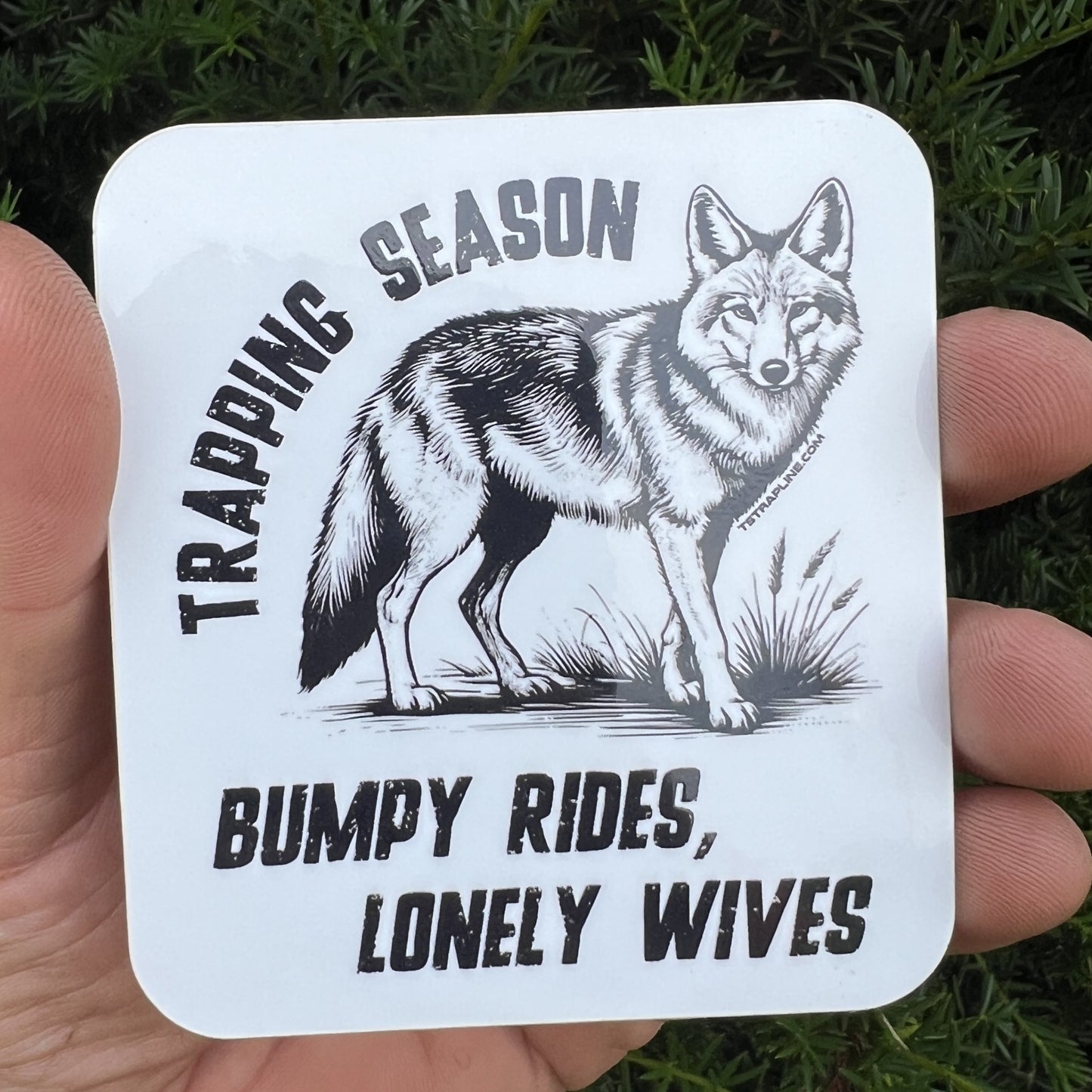3” “Lonely Wives” Decal